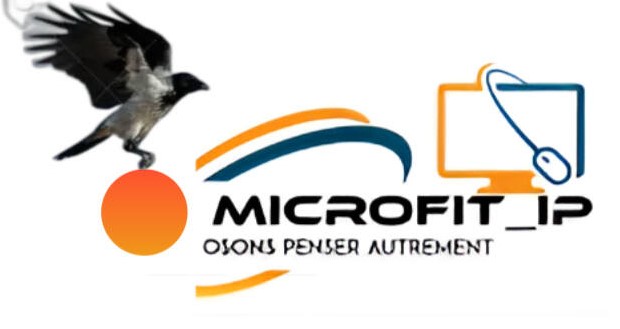 Logo MICROFIT_IP
